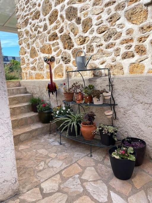 «  La Petite Maison » ....Des Grands Espaces... Saint-Maur-des-Fossés Exteriör bild